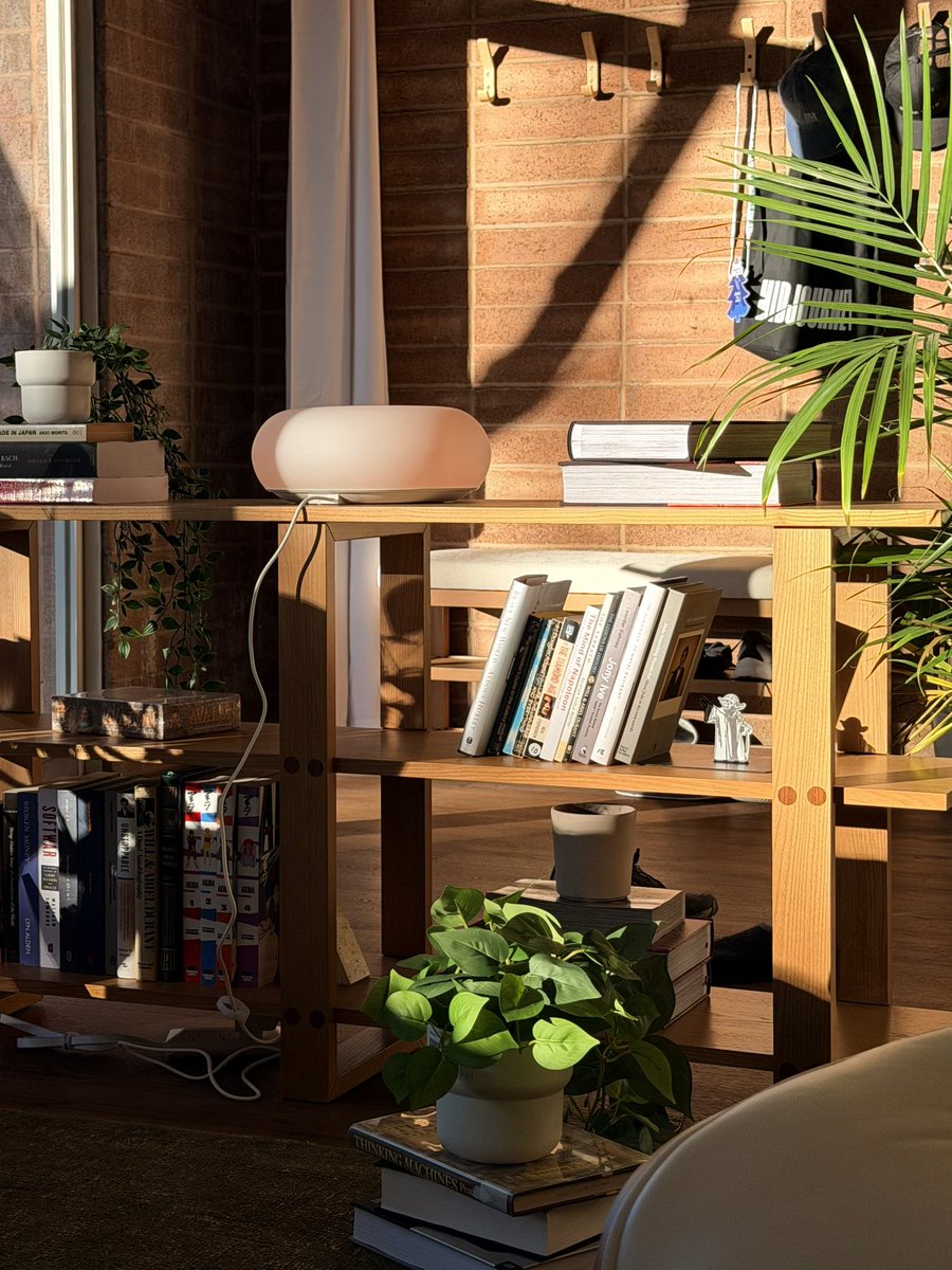 Aidan Guo tweet media