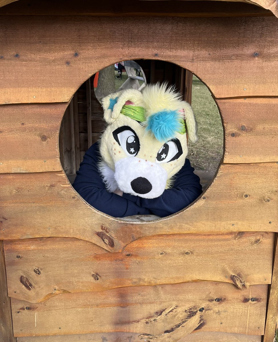 🏳️⚧️ Chibi Floof 🏳️🌈 tweet media