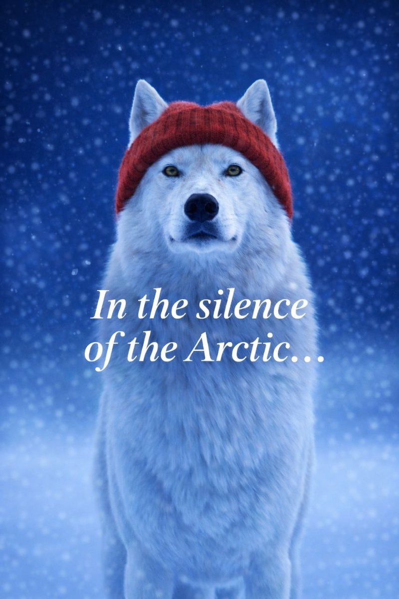 🐺 WhiteWolfWifHat ($WOLF) Transparency Update

100,000,000 $WOLF tokens are now vested through PinkLock on PinkSale.

🔒 Tokens unlock bi-monthly 🔥 Every release will be burned into the liquidity pool

This strengthens liquidity while protecting the Wolfpack and supporting