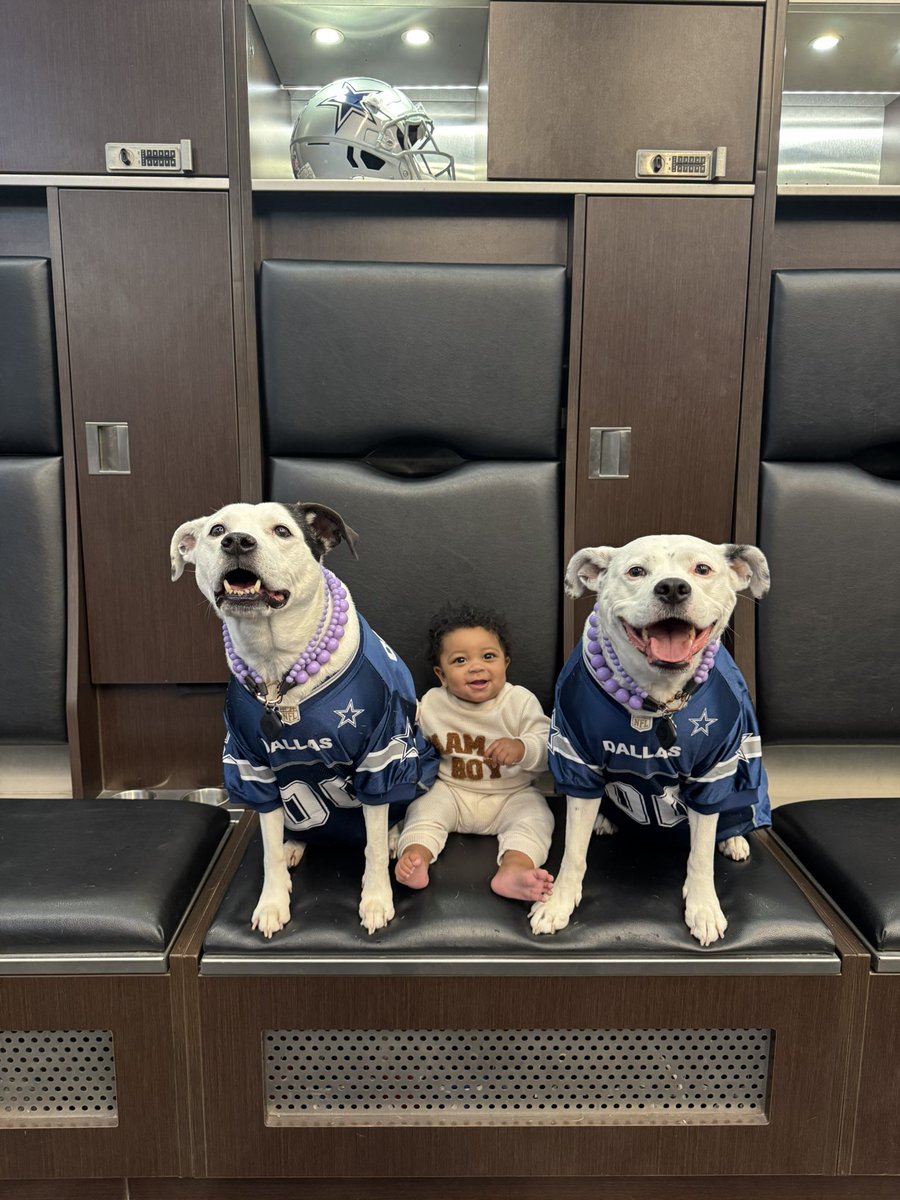 Josh Butler 31sland 🏝️ tweet media