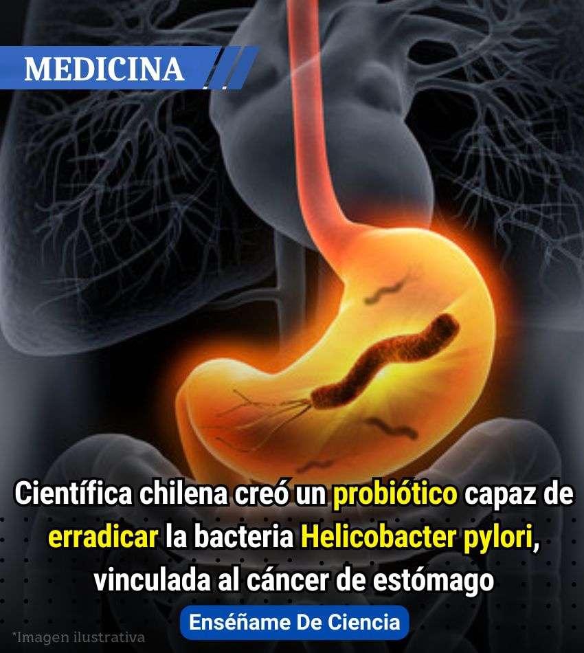 EnsedeCiencia's tweet photo. 💥Quien creó este probiótico es la científica chilena Apolinaria García Cancino, directora del Laboratorio de Patogenicidad Bacteriana de la Universidad de Concepción (UdeC). Su trabajo, tras 17 años de investigación, por fin podrá ayudar a prevenir las infecciones por Helicobacter pylori, una bacteria que en una gran cantidad de casos es la causante del cáncer de estómago