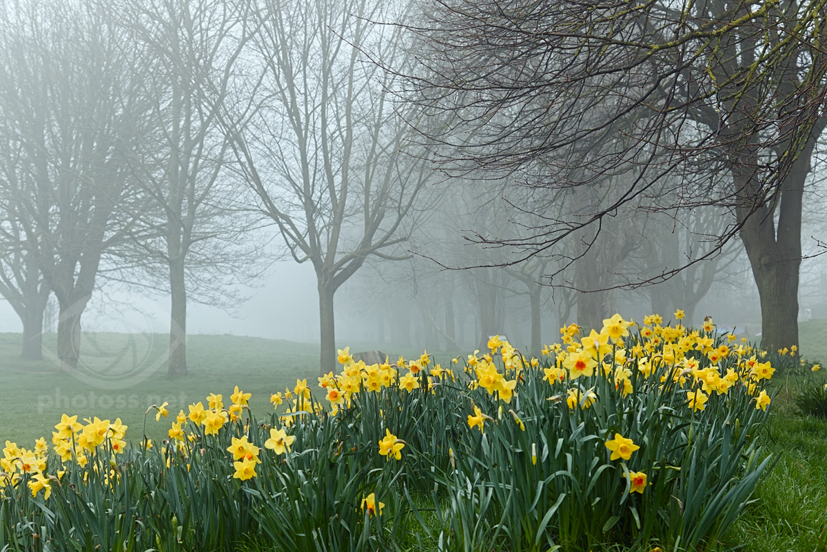 bruslaw's tweet photo. Eerie mist descended on my small town (Southwick, West Sussex) yesterday...

#StormHour #ThePhotoHour #sussex #landscapephotography https://t.co/YVSmm7X8fe