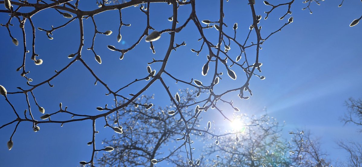 1:11 Any day now... literally and figuratively ☀️