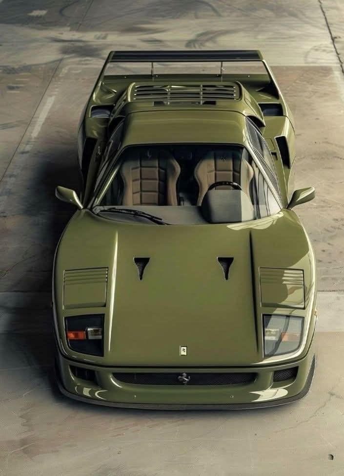 Ramin Nasibov tweet media