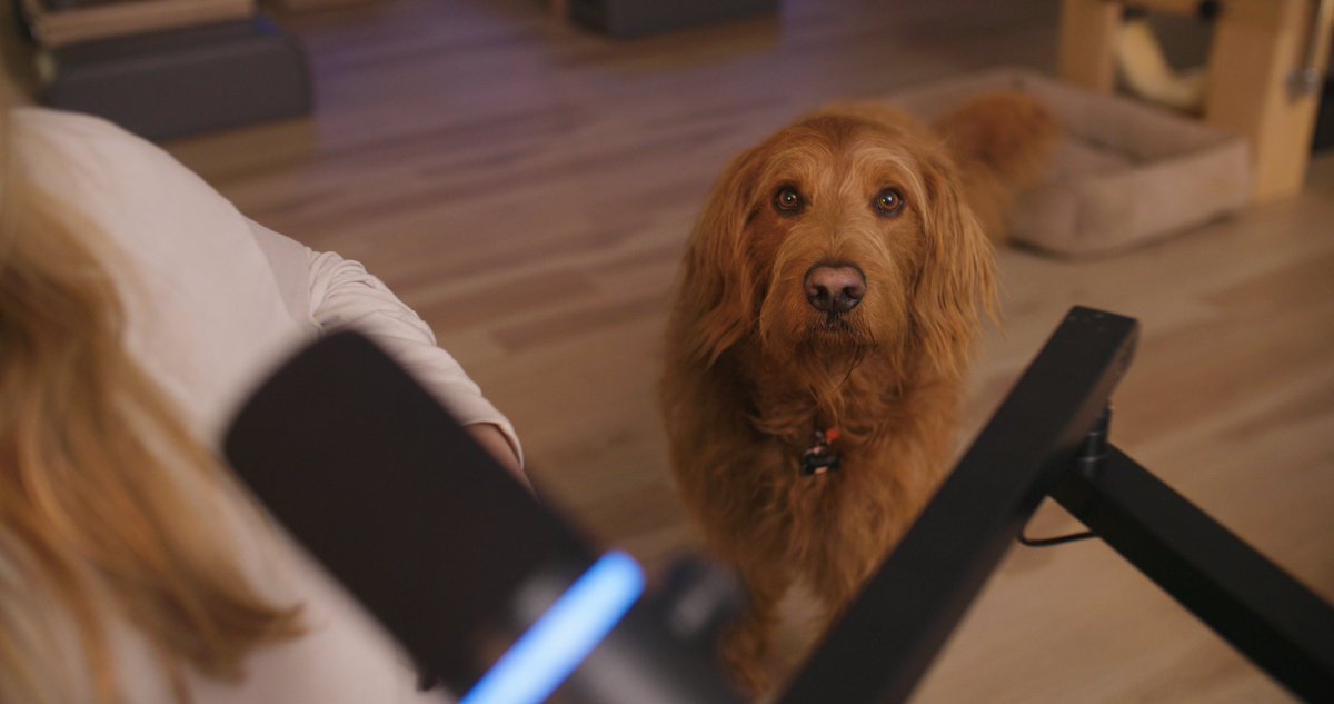 BEACN 🔜 PAX East! tweet media