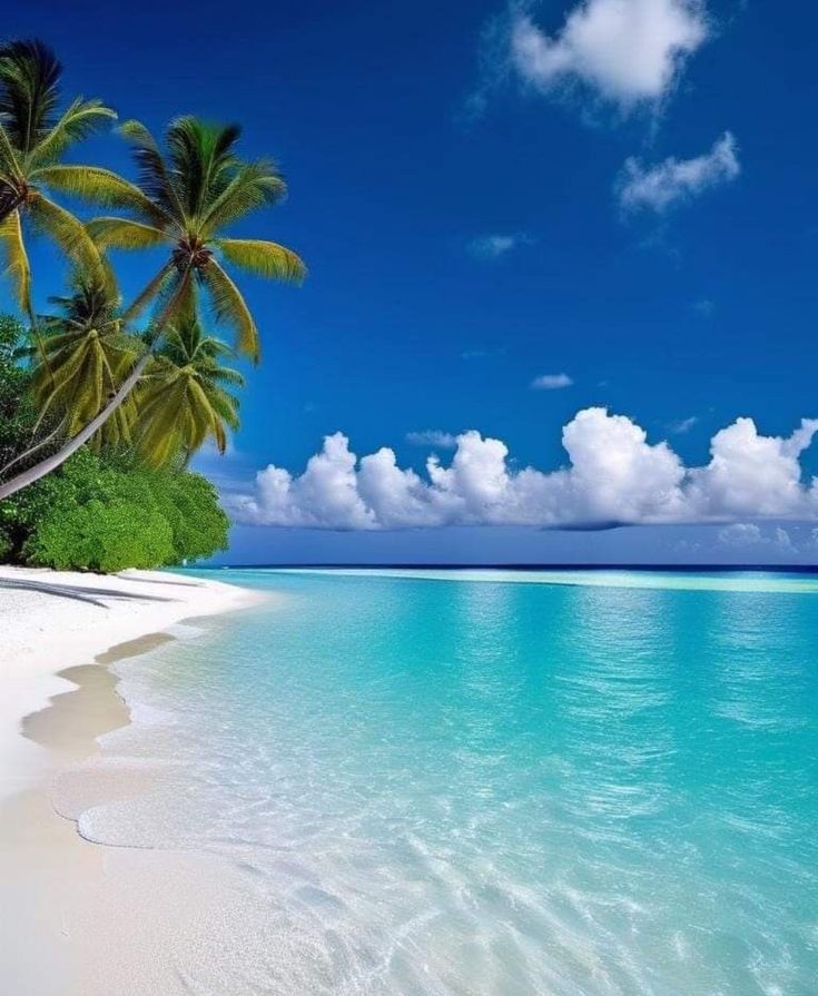 WatercolorSoul🫧 tweet media