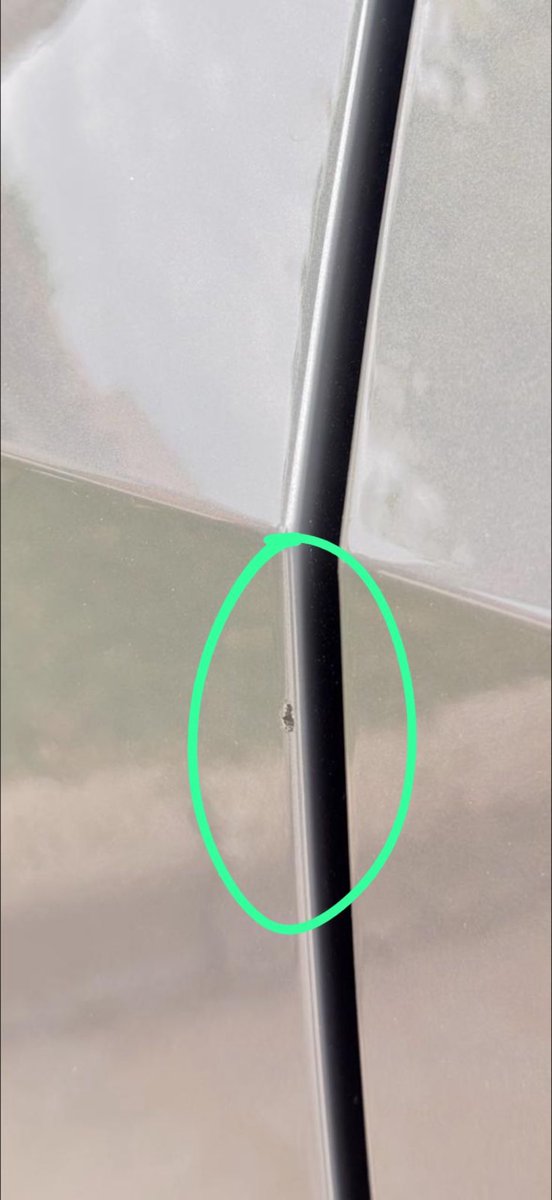 Matias Arcas tweet media