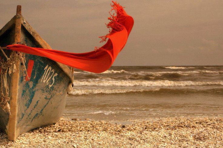 Lovely___Ibiza's tweet image. 