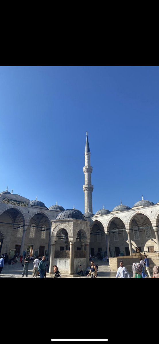 Emerald Kits 💎 tweet media