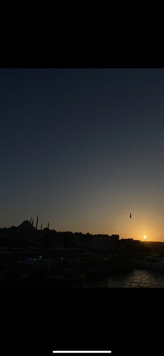 Emerald Kits 💎 tweet media