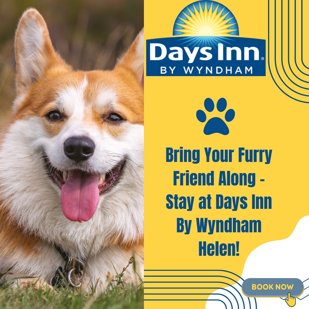 DaysH59574's tweet photo. Your furry friend deserves a getaway too! Stay at Days Inn by Wyndham Helen, where pets are always welcome. Enjoy a comfortable stay with your companion by your side! Book now for an unforgettable trip with your four-legged friend. 
Book your ideal stay today Call+1 706-514-0348 https://t.co/MyqDrHJqnm