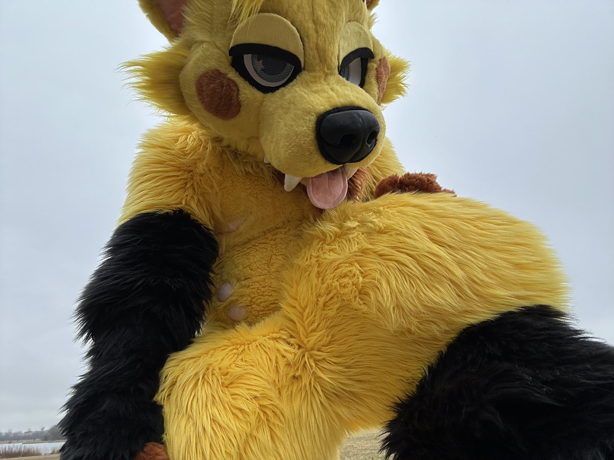 Dipper | Trix 🔜FWA tweet media