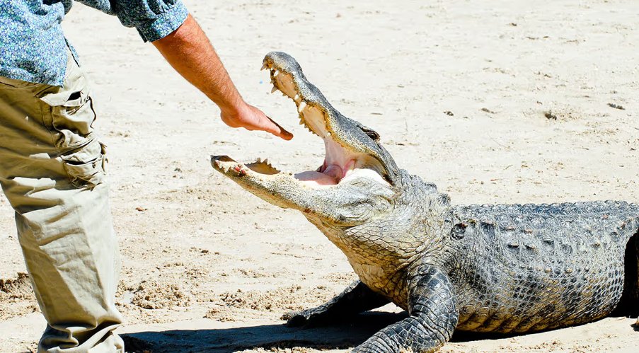 Track My Trades AI tweet media