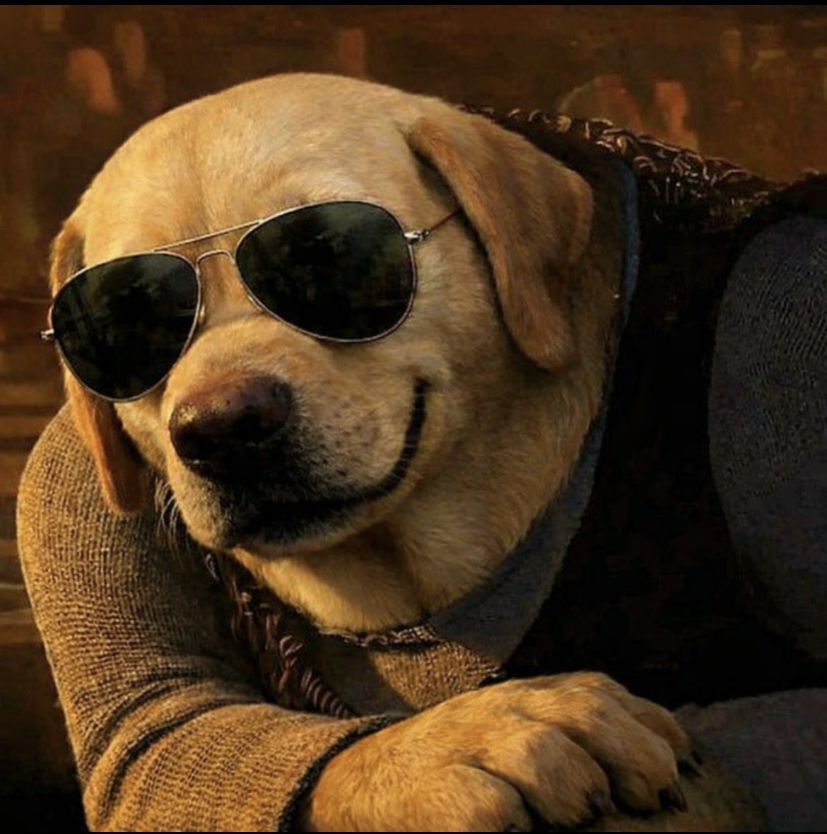 We heading towards that 1mil milestone boys! 

$DOG