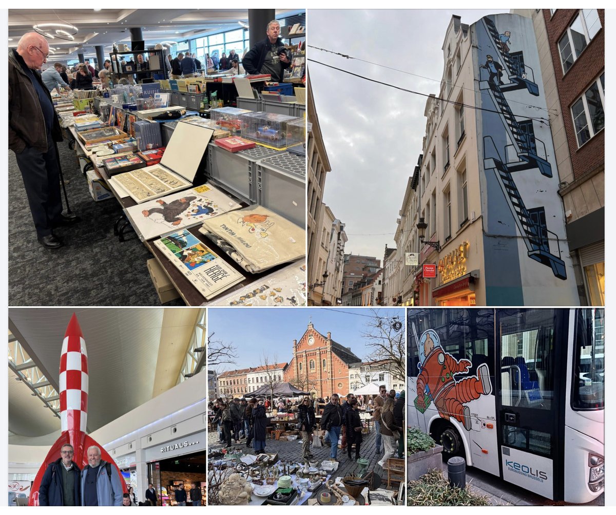 1001 cat tintinaires tweet media