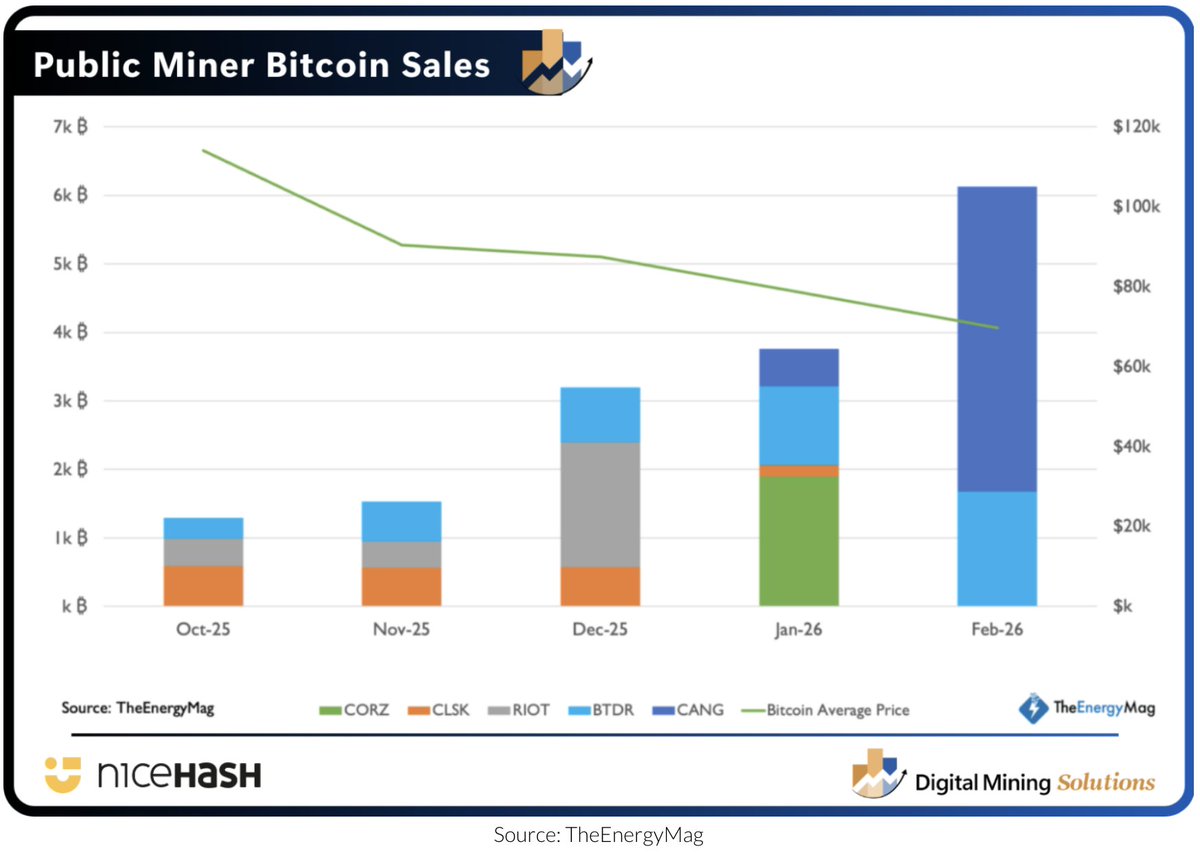 Digital Mining Solutions tweet media