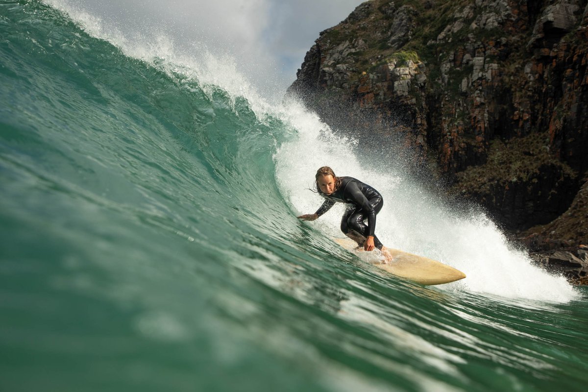 The Surfer's Journal tweet media