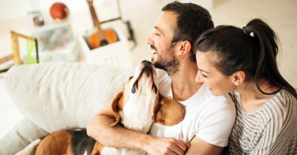 ISU ARMAC is pleased to now be offering pet insurance from Nationwide Insurance.

Use Any Vet - Your pets can have nose-to tail coverage for everything from shots to surgeries.  Plus, you’re free to use any vet, anywhere.  Plans ...
agency.petinsurance.com/armacinsurance