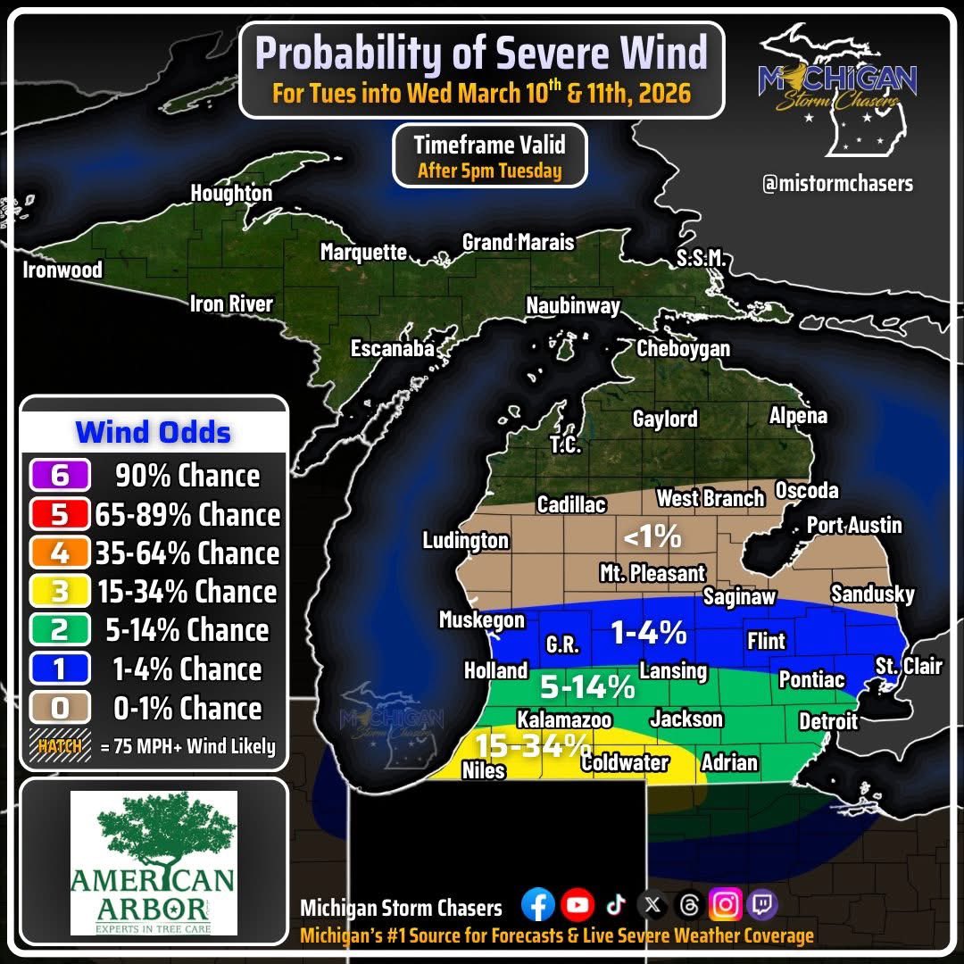 Michigan Storm Chasers tweet media
