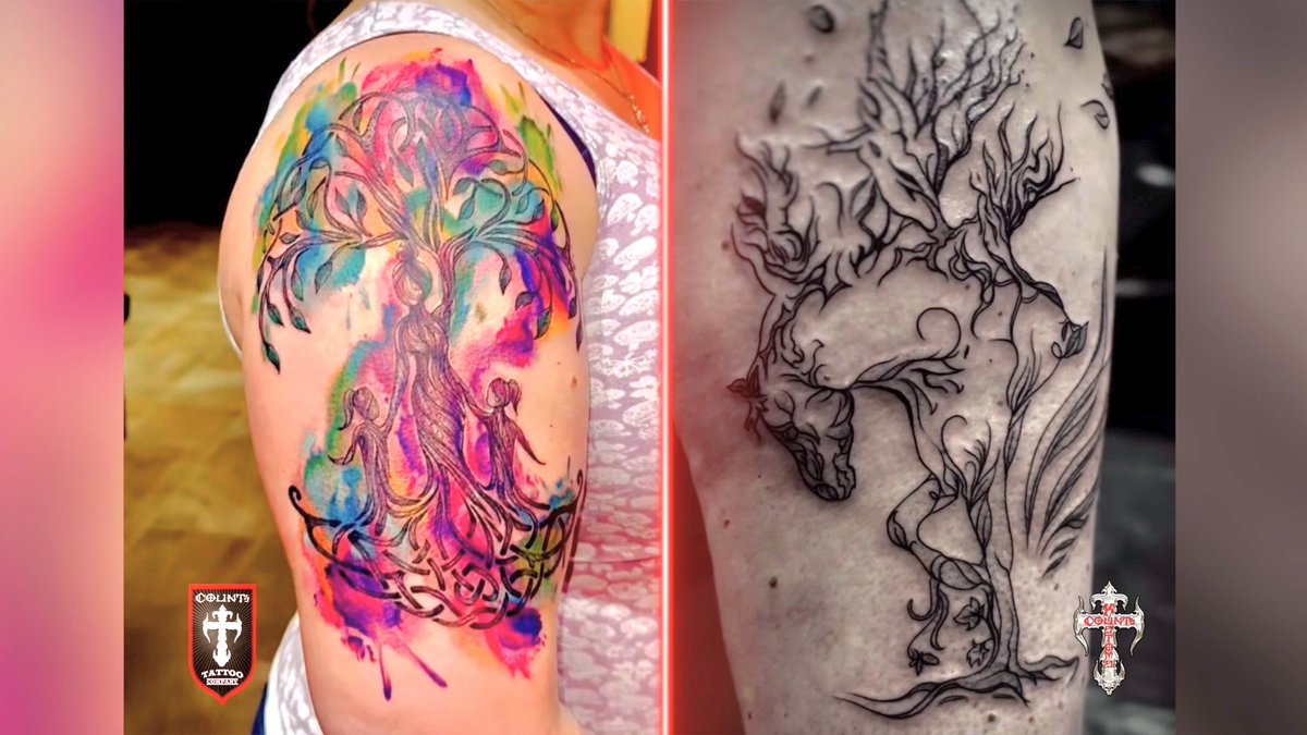 Count's Kustoms tweet media