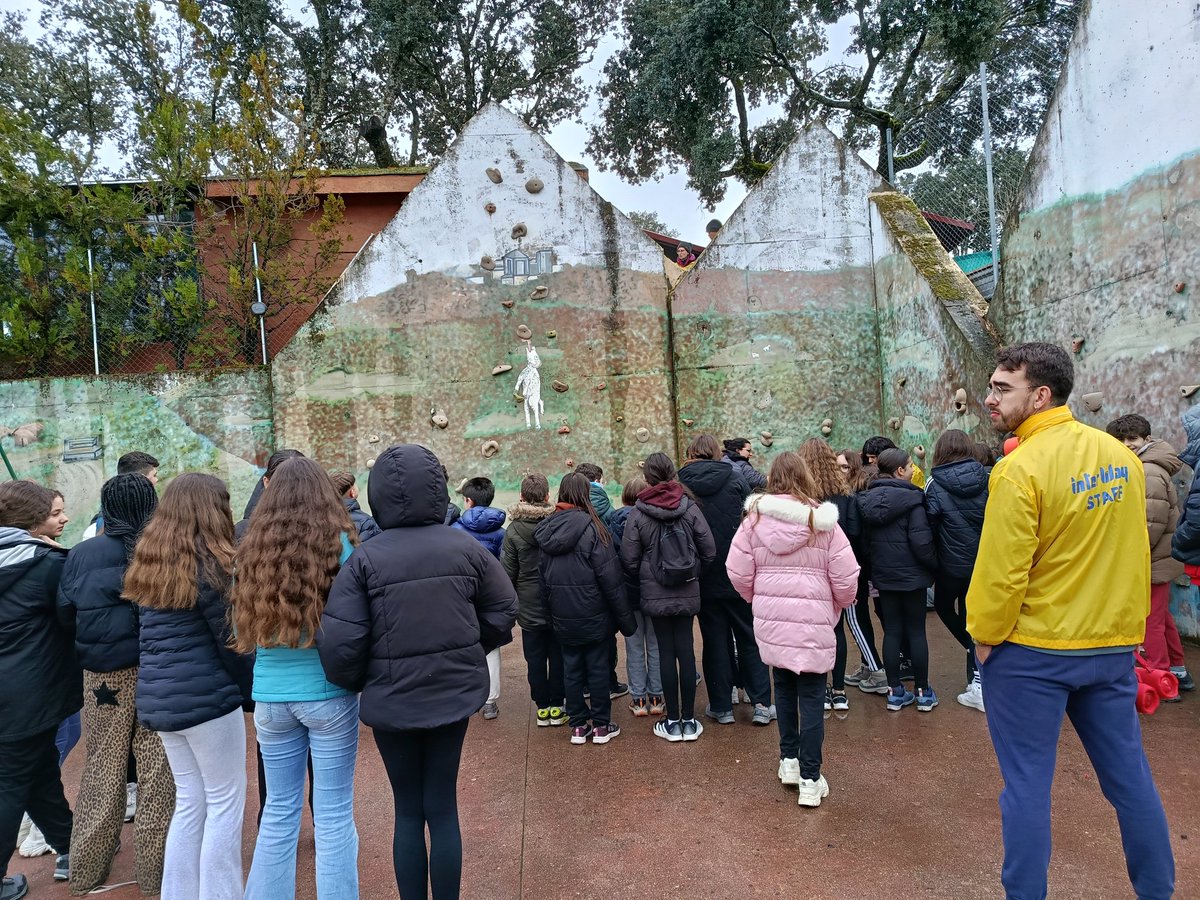 IES Fernando de Rojas tweet media