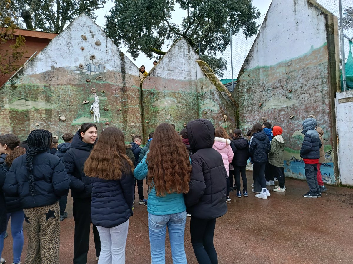 IES Fernando de Rojas tweet media