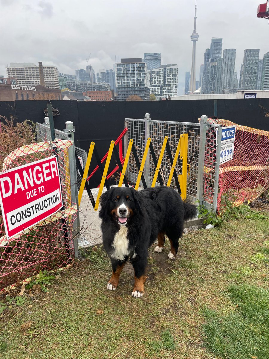 Jonathan Harris tweet media