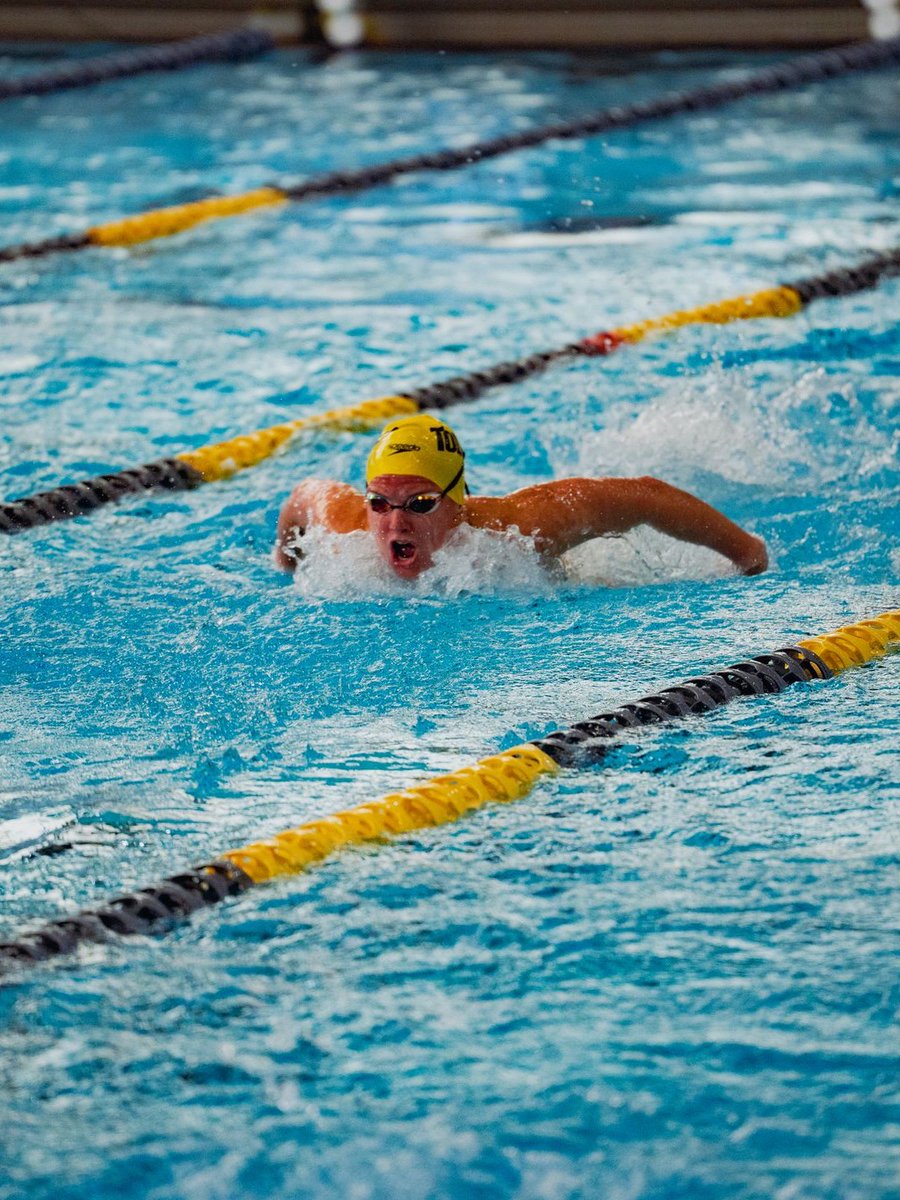 Toledo Swim&Dive tweet media