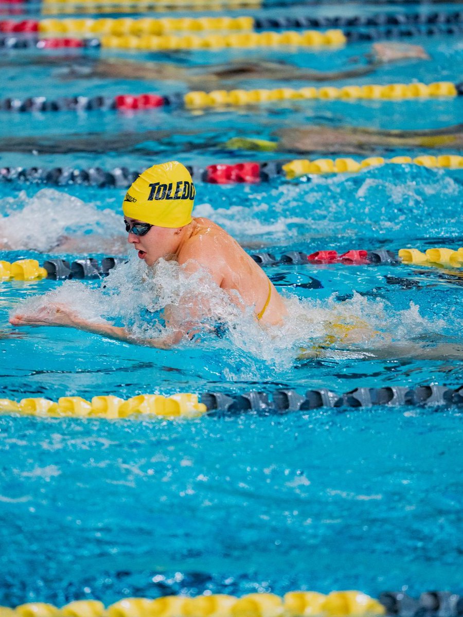 Toledo Swim&Dive tweet media