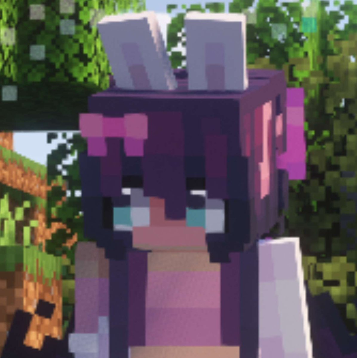 iTMG 🦭 tweet media