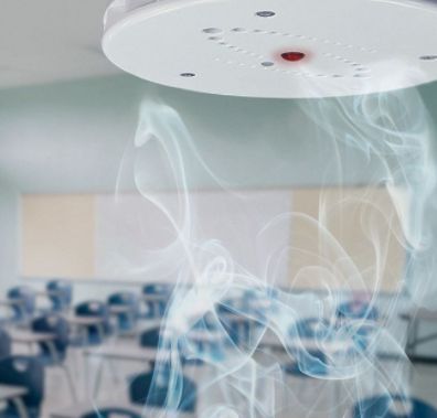 Security Group tweet media