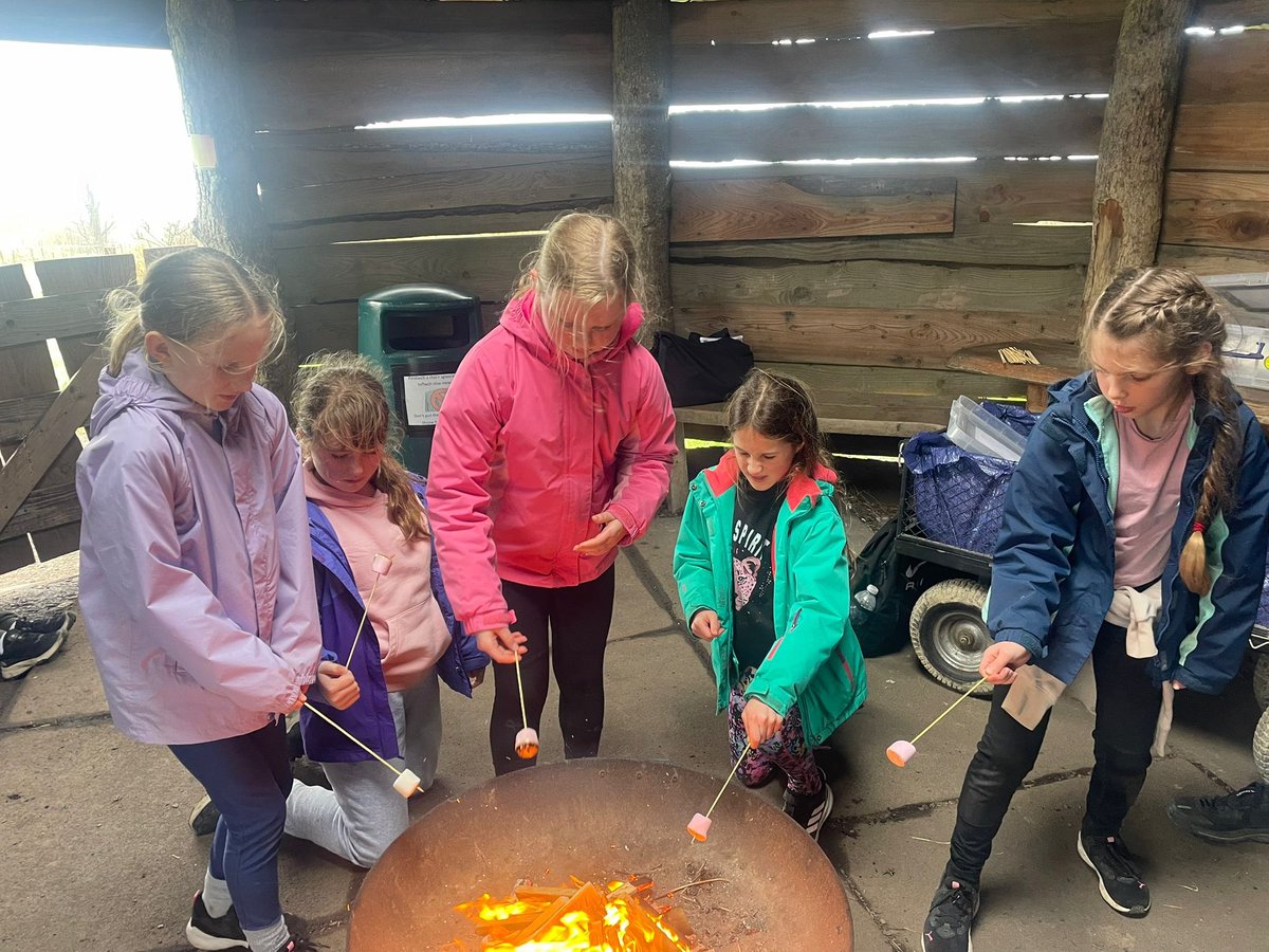 St.Brides Primary tweet media