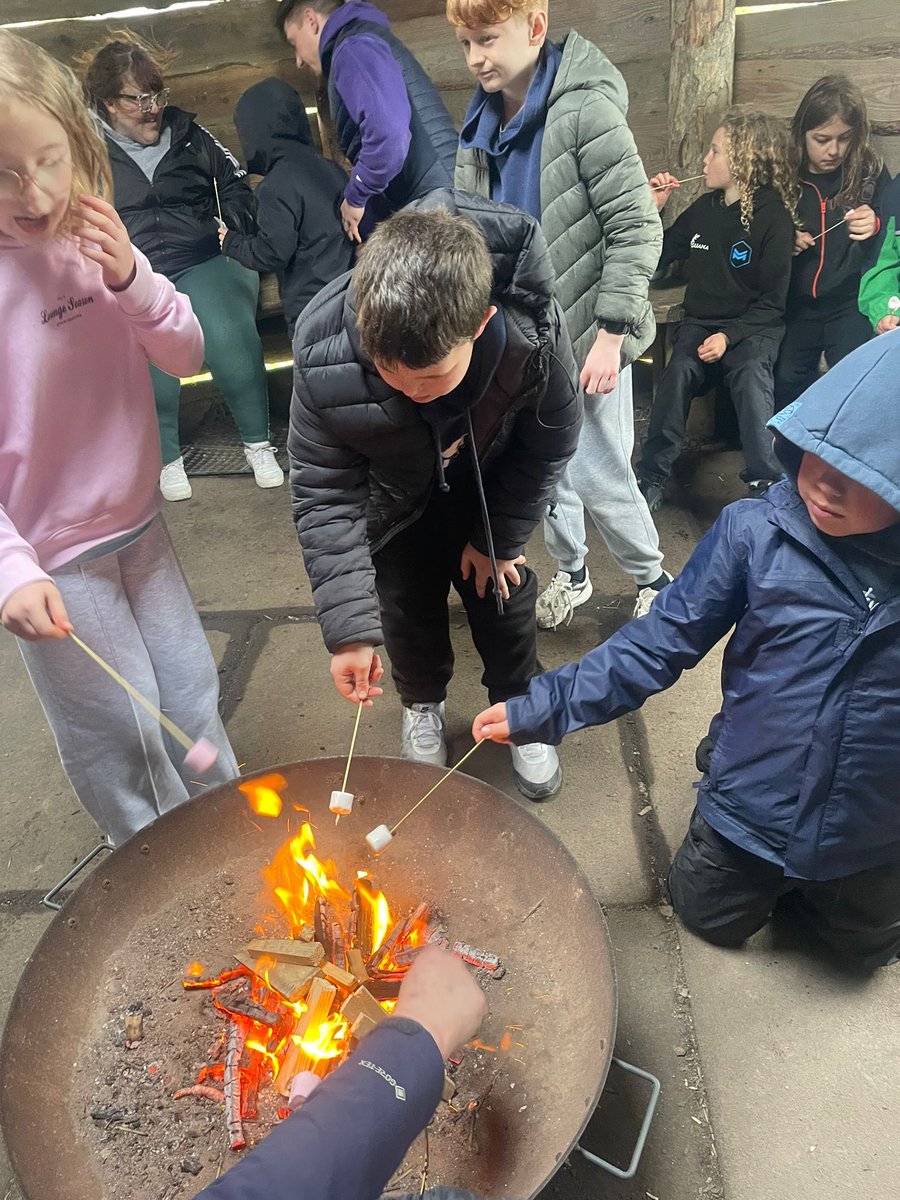 St.Brides Primary tweet media