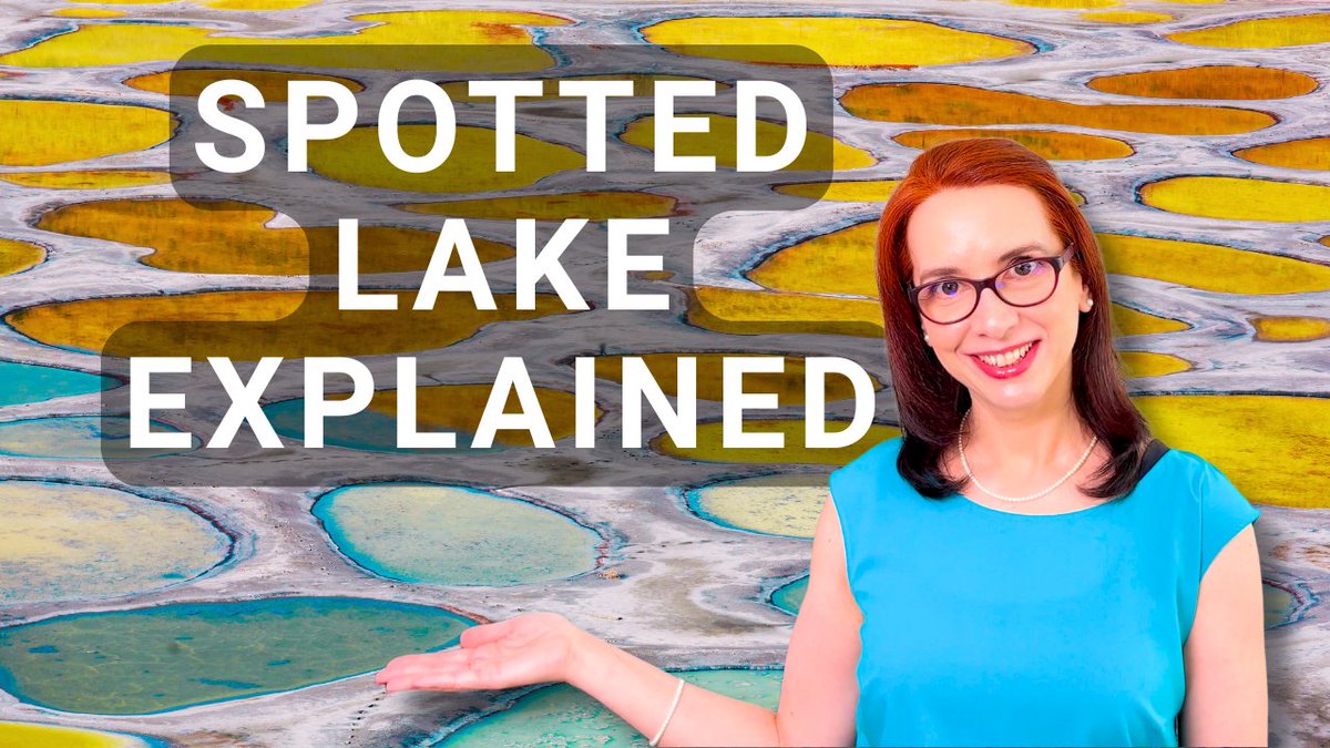 NetaNMR's tweet photo. Spotted Lake in BC looks like a polka-dot dream—but it's shaped by science and sacred to the Syilx people. Discover the wonder behind the spots! - Watch the video here: https://t.co/y72ArhTVaK  
#SpottedLake #BritishColumbia #ExploreBC https://t.co/Ia97xhR8IF