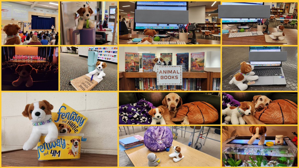 Ms.Manzo☀️👩🏼🏫 (Alyssa Manzo) tweet media