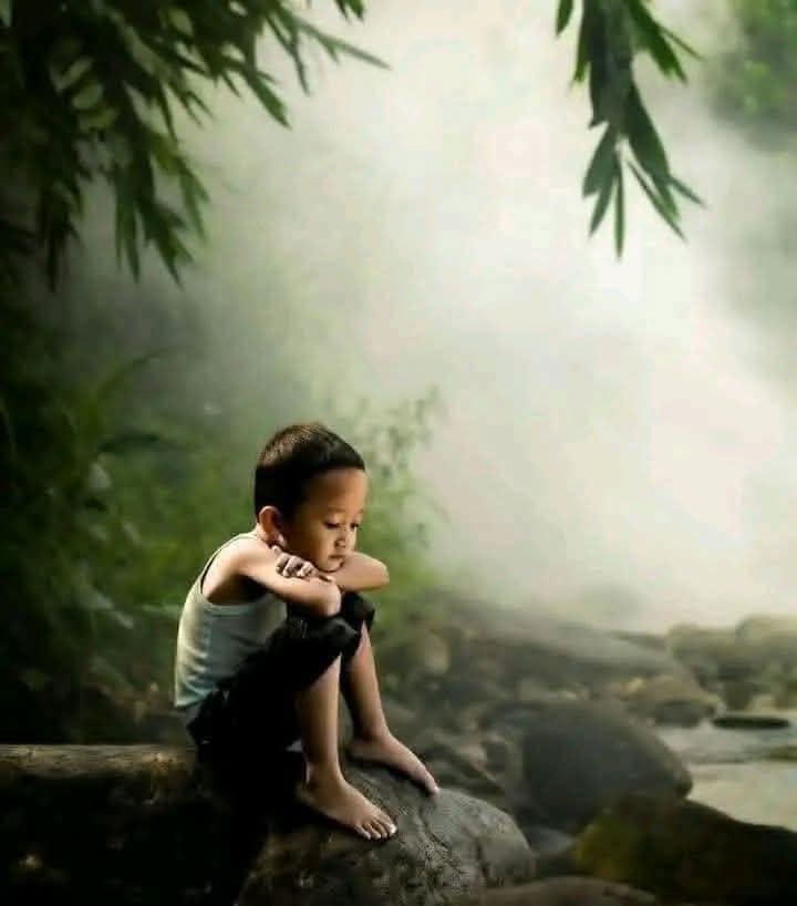 𝒩𝒪𝒪𝒪ℛ tweet media