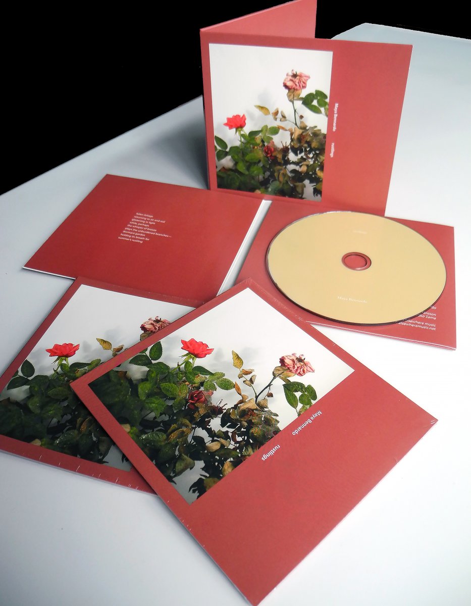 yuko zama/elsewhere music tweet media