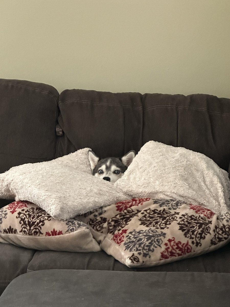 Nattend0👾 tweet media