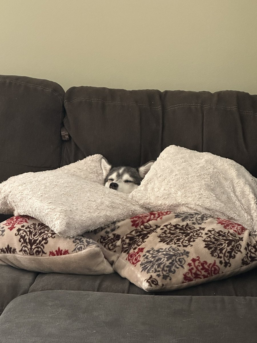 Nattend0👾 tweet media