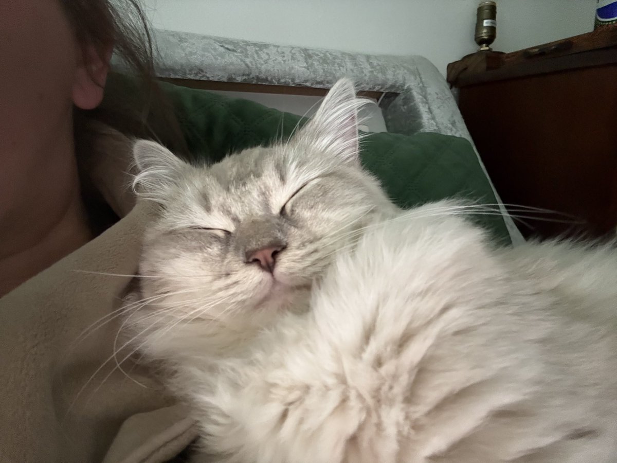 Sarah Evans tweet media