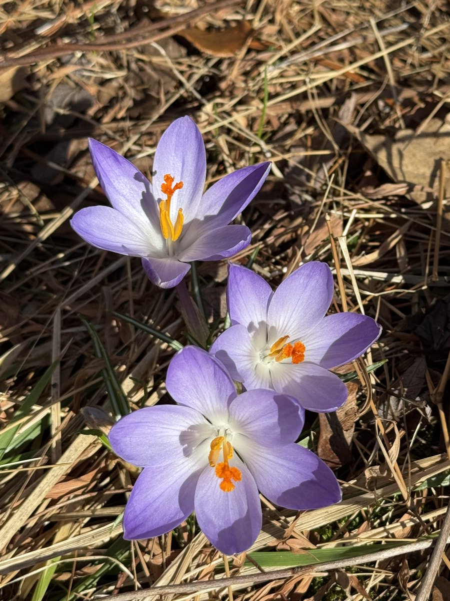 Peter Marteka tweet media