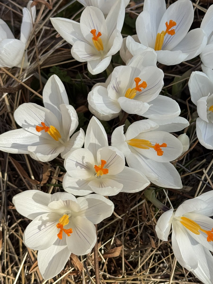 Peter Marteka tweet media