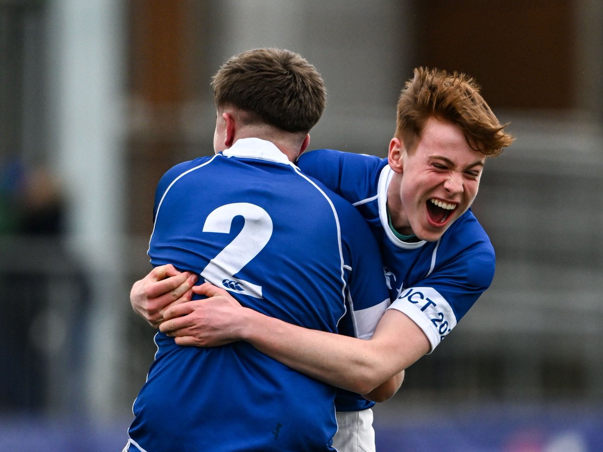 Leinster Domestic tweet media