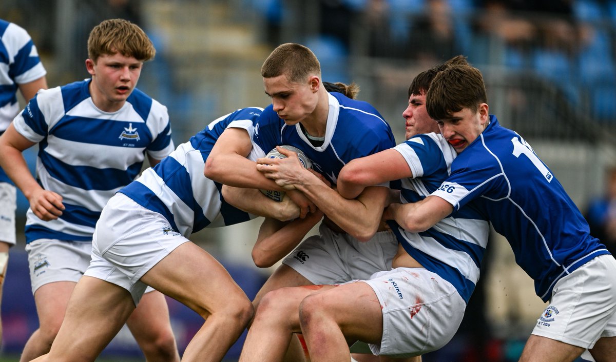 Leinster Domestic tweet media