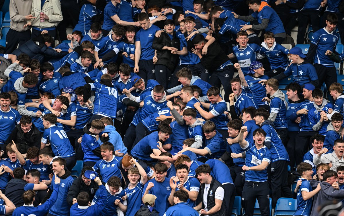 Leinster Domestic tweet media