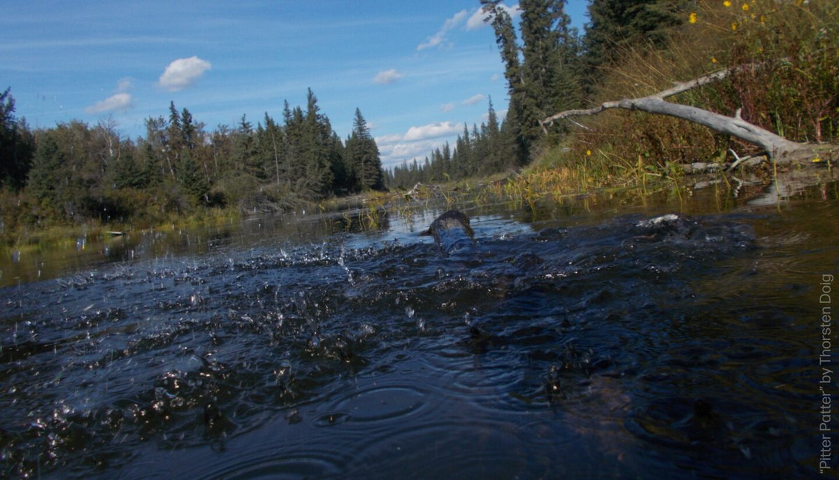 The Roberta Bondar Foundation tweet media