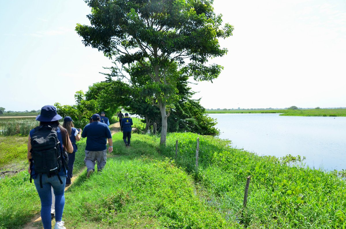 UNGRD's tweet photo. #UNGRDEnCórdoba

El director de la UNGRD, @CarlosCarrilloA, realizó un recorrido técnico en el predio La Leyenda (Córdoba) para evaluar un jarillón que interrumpe el flujo natural de la Ciénaga Grande de Lorica.

En cumplimiento de las instrucciones del presidente @petrogustavo y del Decreto 0174 de 2026, la UNGRD realizará modelaciones hidráulicas y entregará recomendaciones técnicas para que la ANT tome decisiones sobre estas intervenciones.

El objetivo es restablecer el drenaje natural del sistema hídrico, reducir el riesgo de inundaciones y priorizar la seguridad de las comunidades.