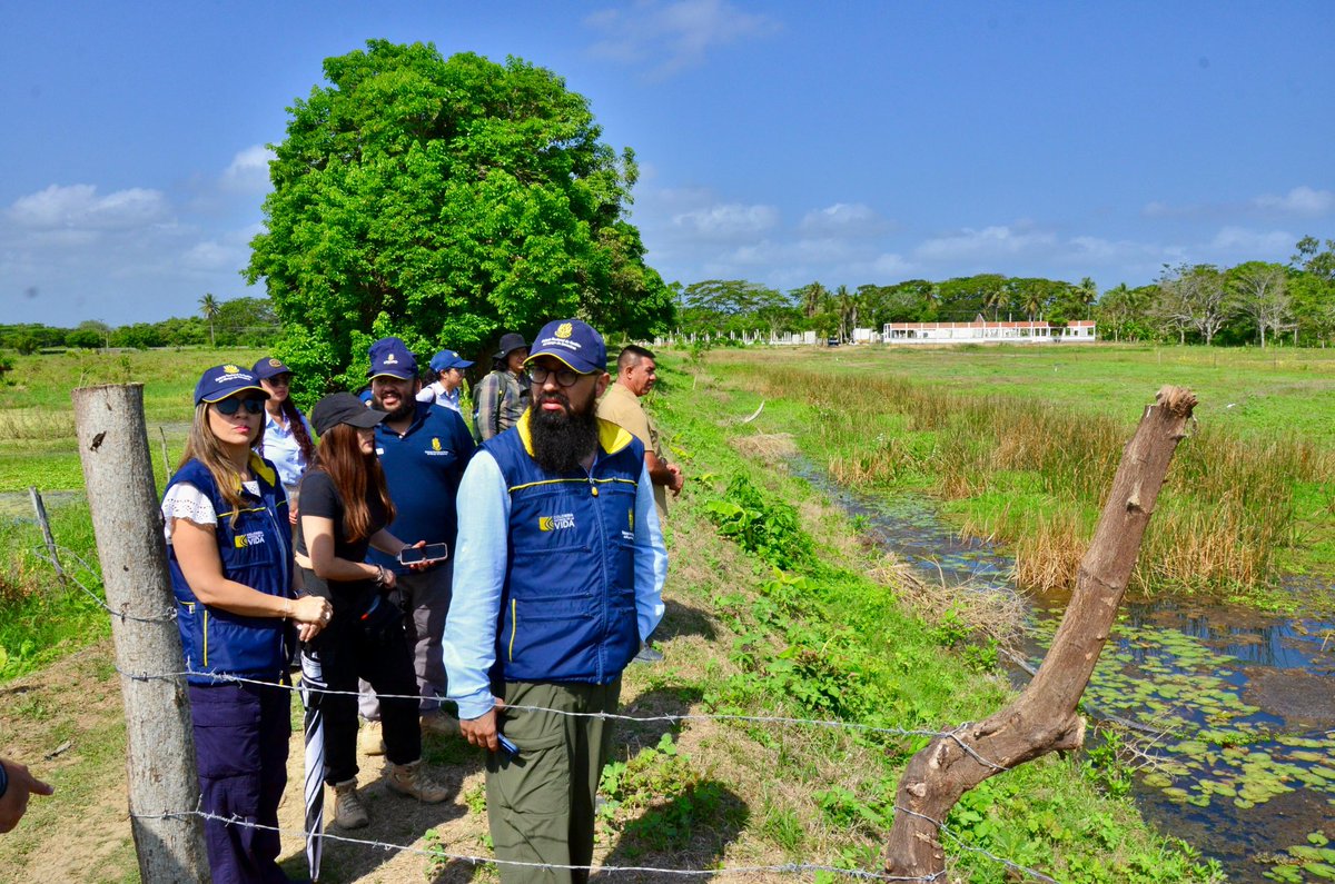 UNGRD's tweet photo. #UNGRDEnCórdoba

El director de la UNGRD, @CarlosCarrilloA, realizó un recorrido técnico en el predio La Leyenda (Córdoba) para evaluar un jarillón que interrumpe el flujo natural de la Ciénaga Grande de Lorica.

En cumplimiento de las instrucciones del presidente @petrogustavo y del Decreto 0174 de 2026, la UNGRD realizará modelaciones hidráulicas y entregará recomendaciones técnicas para que la ANT tome decisiones sobre estas intervenciones.

El objetivo es restablecer el drenaje natural del sistema hídrico, reducir el riesgo de inundaciones y priorizar la seguridad de las comunidades.