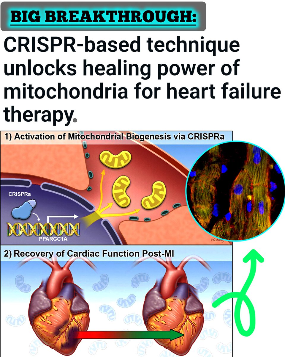 SciTech Era tweet media
