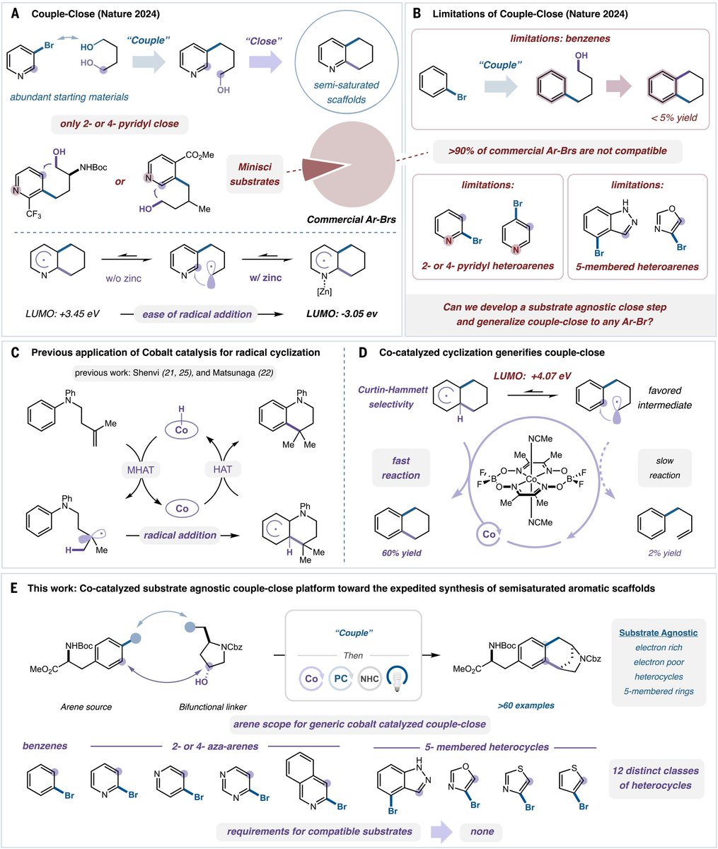 Princeton Chemistry tweet media